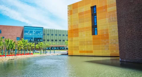 UAE University