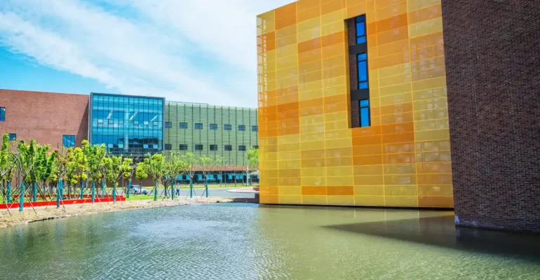 UAE University