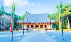 South Korea University