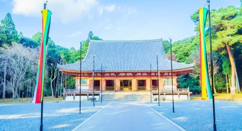 South Korea University