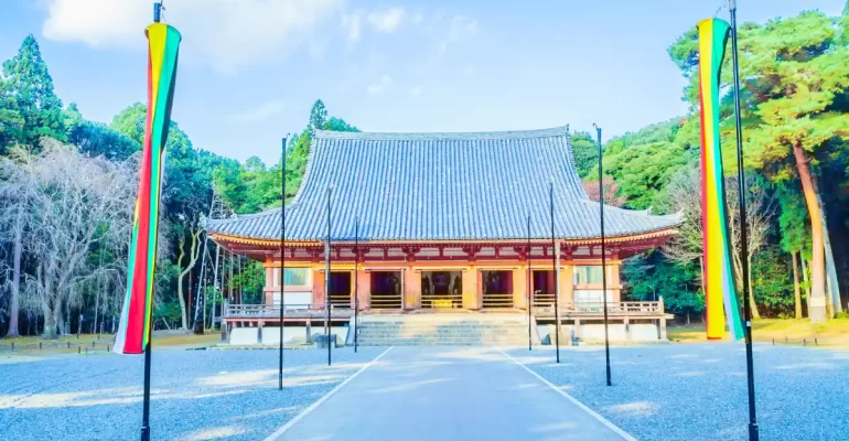 South Korea University